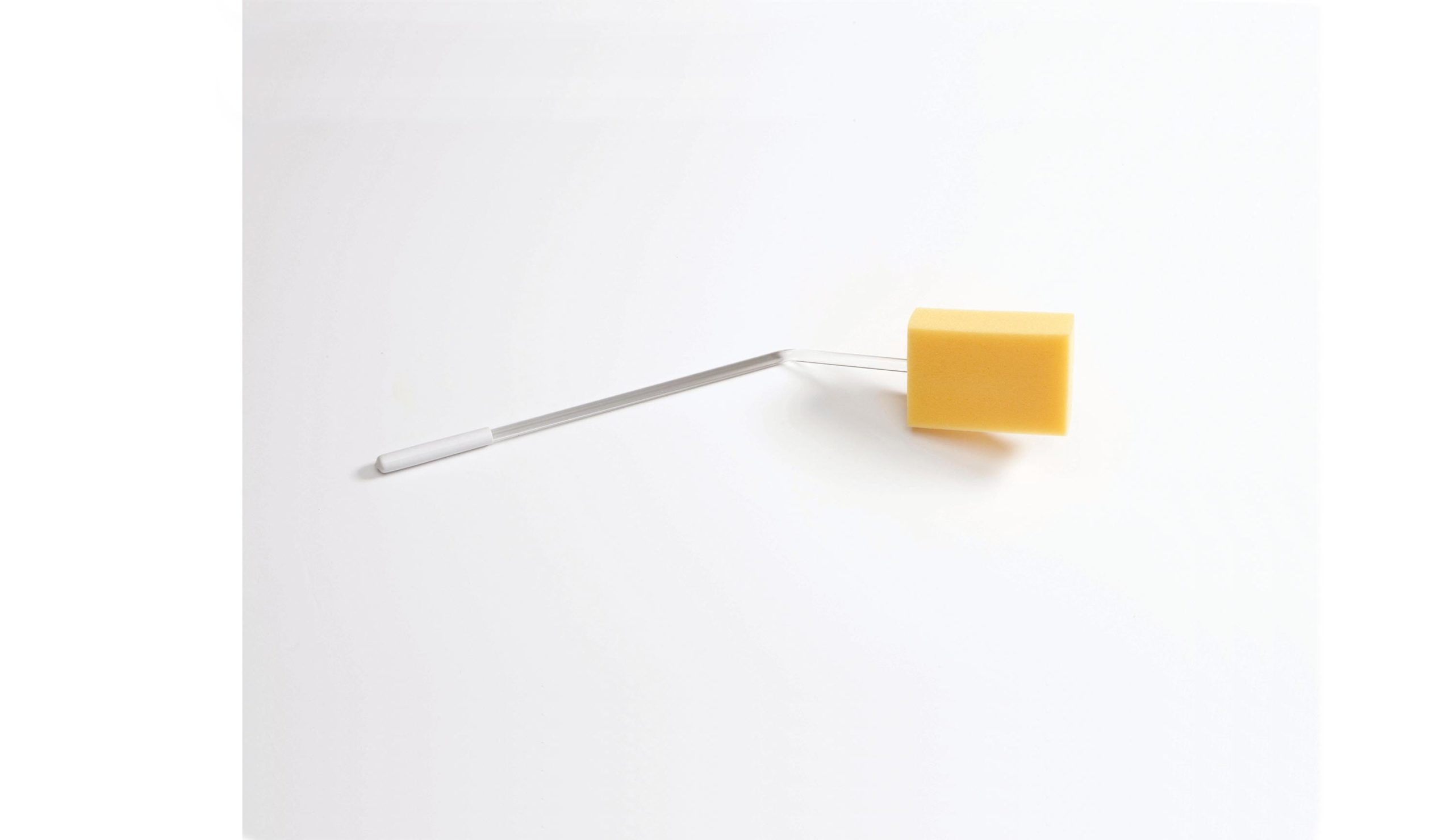 Long Handle Sponge